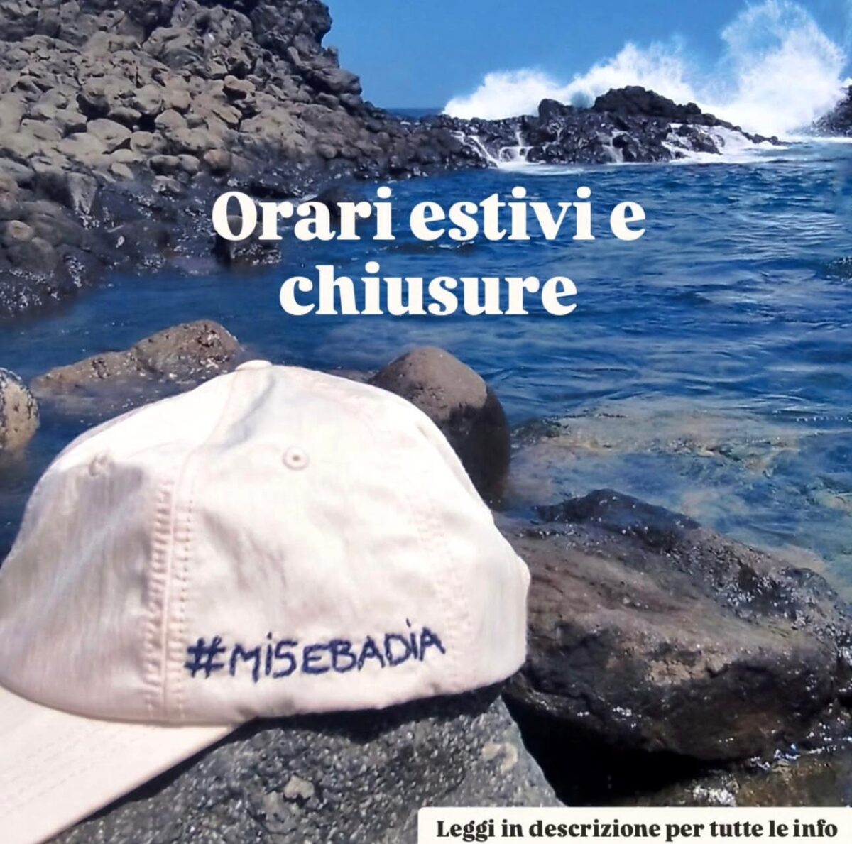 estive-1200x1189.jpeg